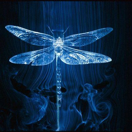 Dragonfly Intuitive Connections - Cheryl Furze